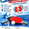 20. tekmovanje v namiznem tenisu